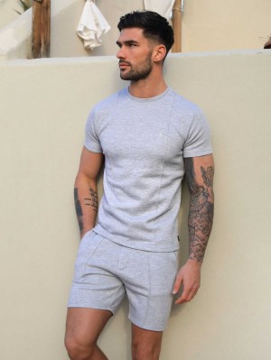 Blakely Amezri Seamline T-Shirt Gris Claro | ASGRMV143