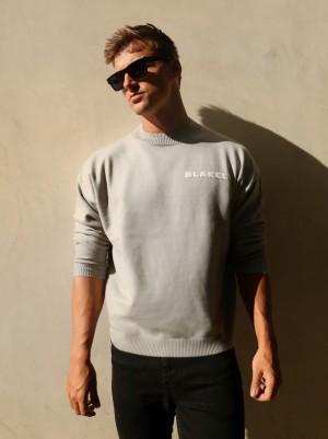 Blakely Blakely Knitted Jumper Gris Claro | NTCELR379