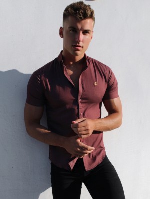 Blakely Brisbane Short Sleeve Shirt Burdeos | VIAOZM061