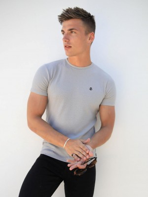Blakely Eli T-Shirt Gris | KAEYGO291