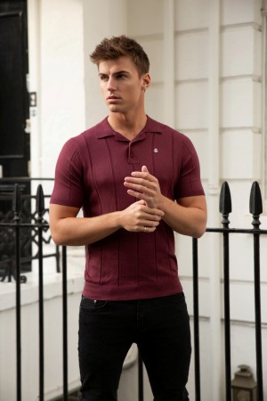 Blakely Finsbury Polo Shirt Burdeos | NXEQMP691