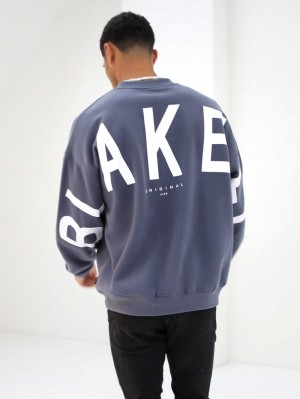 Blakely Idris Oversized Jumper Azules | NGCOVW327