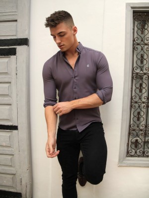Blakely Jude Shirt Moradas | PHLNSB974