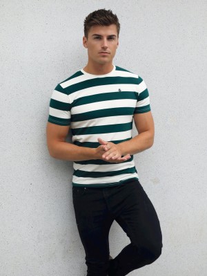 Blakely Loano Stripe T-Shirt Verde | JVOZAG198
