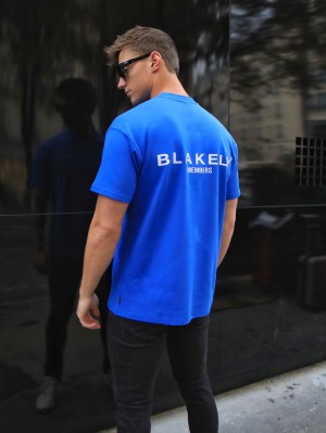 Blakely Members Relaxed T-Shirt Azules | RULZDX574