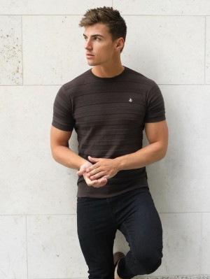 Blakely Raphello Stripe T-Shirt Marrones | GLUCNK945