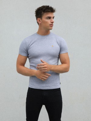 Blakely Recco T-Shirt Gris | DWSERB164