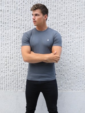 Blakely Torbora T-Shirt Gris | PNFRVL146