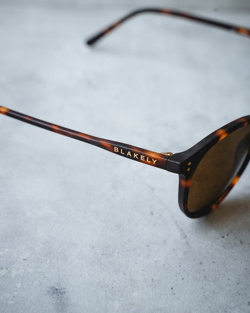 Blakely 22.1 Sunglasses Havana Tortoiseshell | YABHWS763