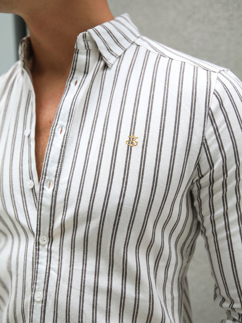 Blakely Savona Stripe Shirt Marrones | DNWCTX347